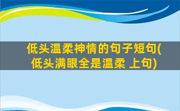 低头温柔神情的句子短句(低头满眼全是温柔 上句)